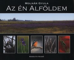 Molnr Gyula - Az n Alfldem