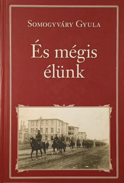 Somogyvry Gyula - s mgis lnk
