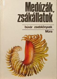 Bba Kroly - Medzk, zskllatok