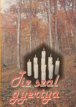 Fekete Istv�n - T�z sz�l gyertya