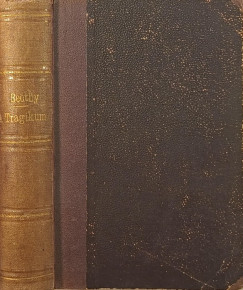 Bethy Zsolt - A tragikum