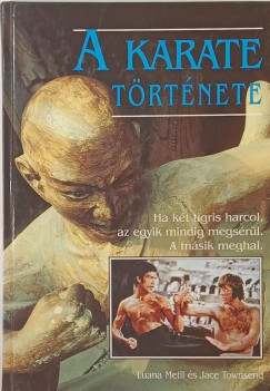 Luana Metil - Jace Townsend - A karate története