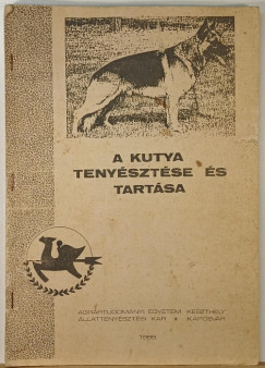 A kutya tenysztse s tartsa