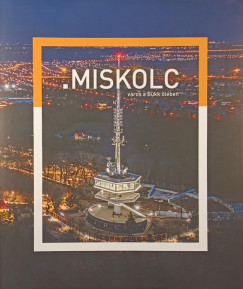 Bózsó Gyula - .Miskolc