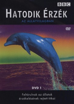 Hatodik �rz�k 1.