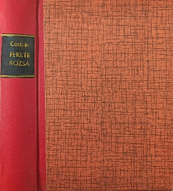 Thomas B. Costain - Fekete rózsa