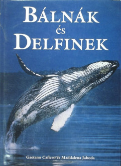 Gaetano Cafiero - Maddalena Jahoda - Blnk s delfinek