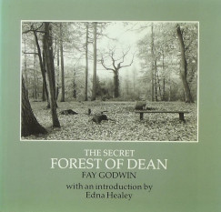 Fay Godwin - The Secret Forest of Dean