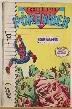 A csodálatos Pókember 13.