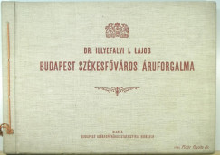 Dr. Illyefalvi Lajos - Budapest szkesfvros ruforgalma
