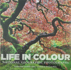 Life in colour