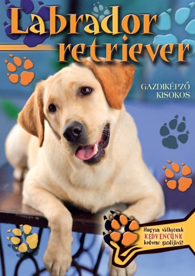- Labrador retriever