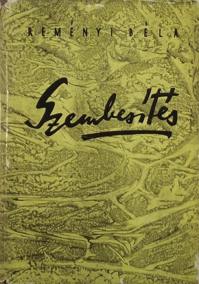 Reményi Béla - Szembesítés