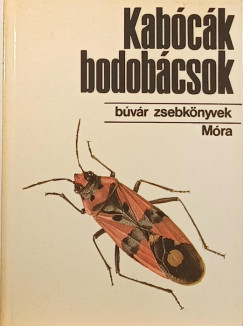 Dr. Vsrhelyi Tams - Kabck, bodobcsok