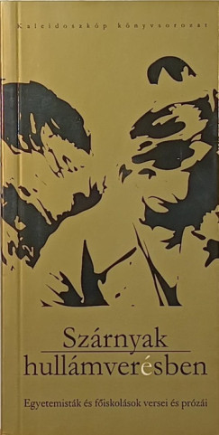 Lutter Imre (Vál.) - Szárnyak hullámverésben