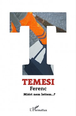 Temesi Ferenc - Mirt nem lettem?