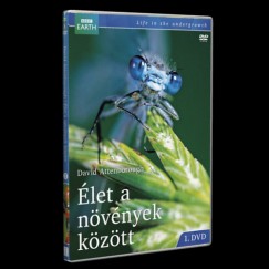 David Attenborough - Élet a növények között 1. - DVD