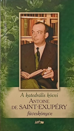 Antoine De Saint-Exupéry - A katedrális kövei