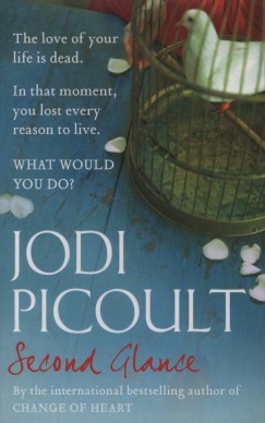 Jodi Picoult - Second Glance