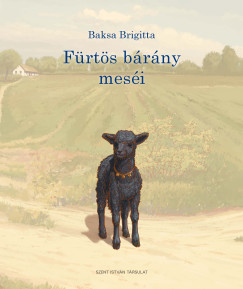 Baksa Brigitta - Frts brny mesi