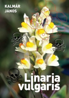 Kalmr Jnos - Linaria vulgaris
