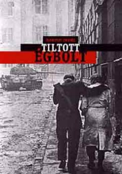 Marton Endre - Tiltott égbolt