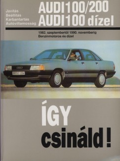 Hans-Rdiger Etzold - Audi 100/200, Audi 100 dzel