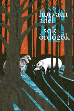 Sok �rd�g�k