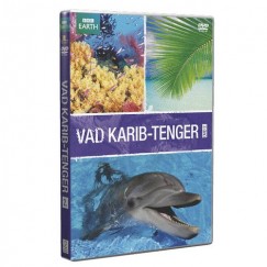 Vad Karib-tenger 2. - DVD