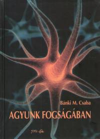 Bnki M. Csaba - Agyunk fogsgban