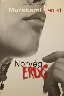Murakami Haruki - Norvg erd