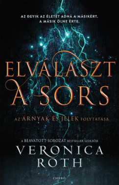 Veronica Roth - Elvlaszt a sors - Az egyik az lett adn a msikrt. A msik lne rte.