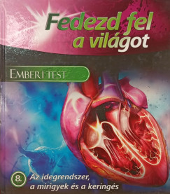 Az idegrendszer, a mirigyek s a kerings