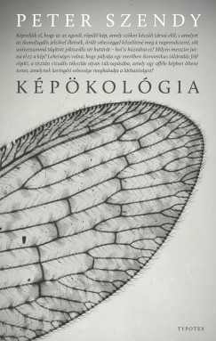 Képökológia