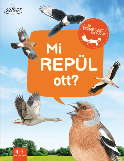 Mi rep�l ott?