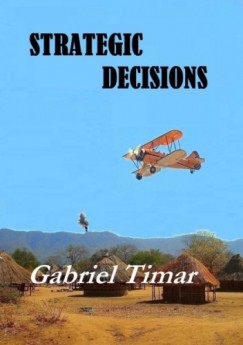 Gabriel Timar - Strategic Decisions