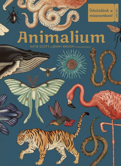 Jenny Broom - Katie Scott - Animalium - dvzlnk a mzeumban!