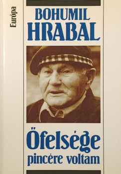 Bohumil Hrabal - felsge pincre voltam