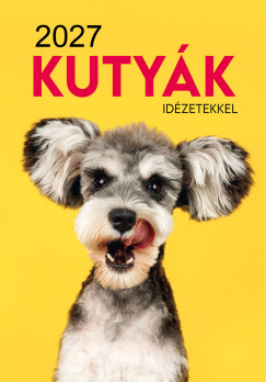 2027 Napt�r - Kuty�k