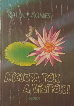 Bálint Ágnes - Micsoda pók a vízipók!