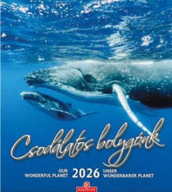 Csodálatos bolygónk falinaptár - 30x34 cm - 2026