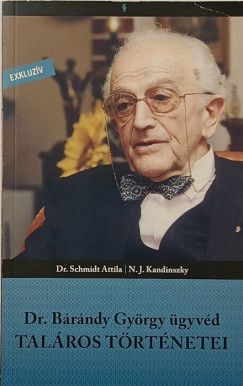 Kandinszky - Dr. Schmidt Attila - Dr. Brndy Gyrgy gyvd talros trtnetei