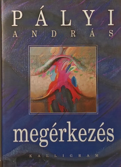 Plyi Andrs - Megrkezs
