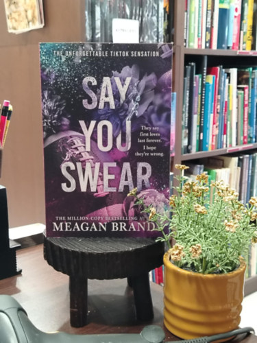 Meagan Brandy - Say You Swear