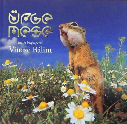 Vincze B�lint - �rge mese