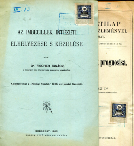 Dr. Fischer Ign�cz - Az imbecillek elhelyez�se s kezel�se - Az elmebetegs�gek progn�zisa