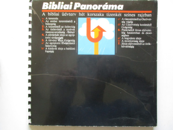 Bibliai panorma - A bibliai dvterv ht korszaka 12 sznes rajzban