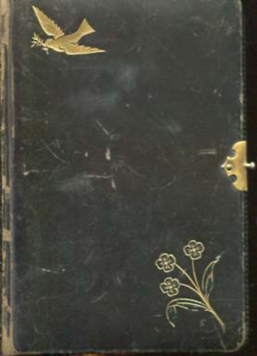 Sz�sz K�roly - Buzg�s�g k�nyve - elm�lked�sek �s im�k