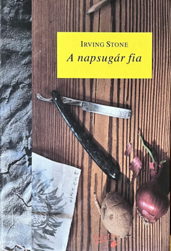 Irving Stone - A napsugr fia - Van Gogh lete