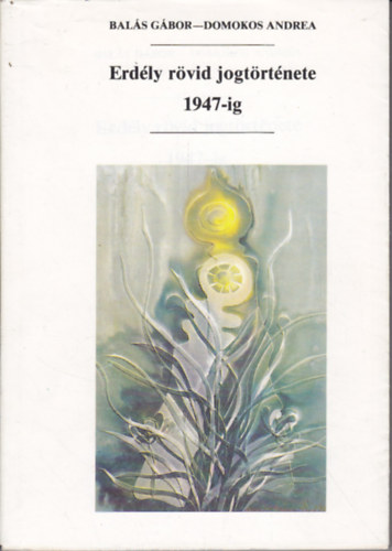 Bal�s G�bor; Domokos Andrea - Erd�ly r�vid jogt�rt�nete 1947-ig